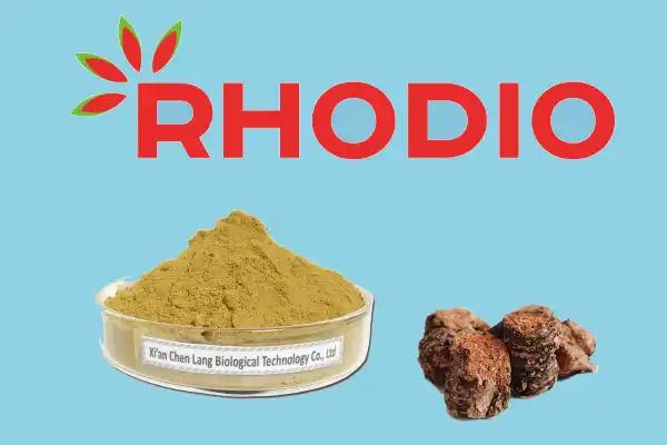 Rhodiola Rosea.jpg